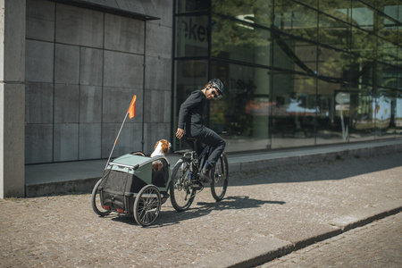 Przyczepka rowerowa dla psa - Thule Bexey L do 45 kg - Haze green