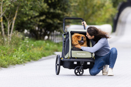 Hamax - Przyczepka rowerowa dla psa - Pluto M do 35 kg - Green / Black