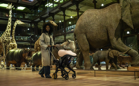 Doona - Mobilny fotelik samochodowy Doona i - Forest Grey