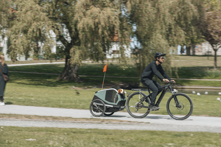 Przyczepka rowerowa dla psa - Thule Bexey L do 45 kg - Haze green