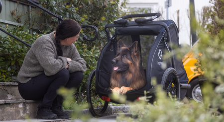 Hamax - Przyczepka rowerowa dla psa - Pluto L do 45 kg - Blue / Black