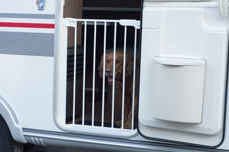 hauck zestaw organizerów do krzesełka Alpha