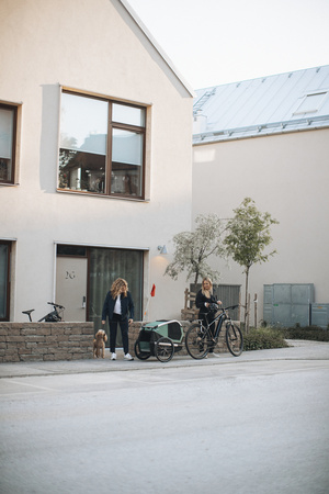 Przyczepka rowerowa dla psa - Thule Bexey L do 45 kg - Haze green