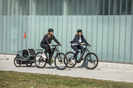 Przyczepka rowerowa dla psa - Thule Bexey L do 45 kg - Haze green