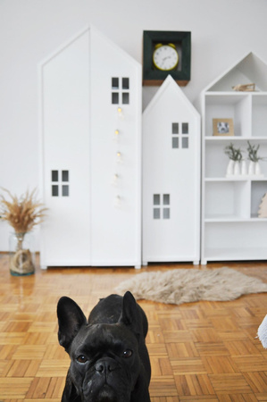 Zestaw solidnych mebli dziecięcych z drewna, z garderobą, z szufladami