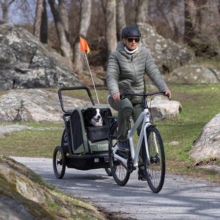 Hamax - Przyczepka rowerowa dla psa - Pluto M do 35 kg - Green / Black