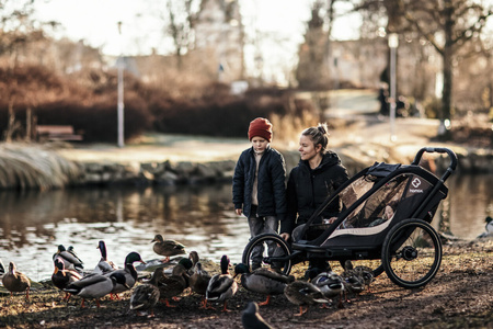 Hamax - Przyczepka rowerowa COCOON, podwójna - Grey/black