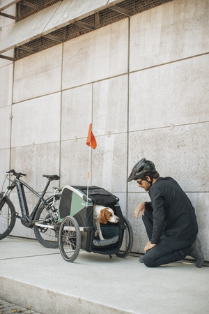 Przyczepka rowerowa dla psa - Thule Bexey L do 45 kg - Haze green