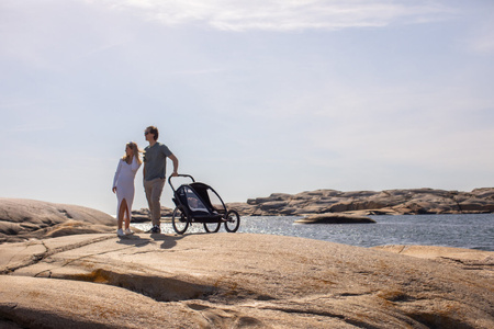 Hamax - Przyczepka rowerowa BREEZE ONE - Navy/cream