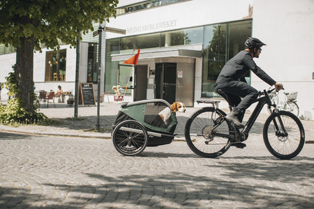 Przyczepka rowerowa dla psa - Thule Bexey L do 45 kg - Haze green