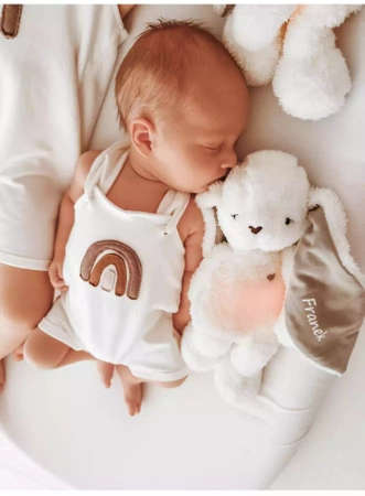 SZUMISIE® - LISEK DOU DOU 5W1 Z LAMPKĄ