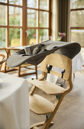 LEANDER - Newborn Seat do krzesełka do karmienia Louie™ i Classic™, Cool grey