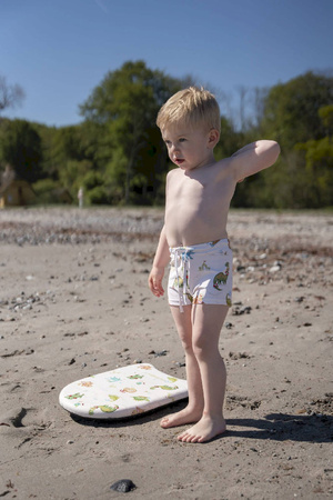 Filibabba Deska do pływania Dino Beach