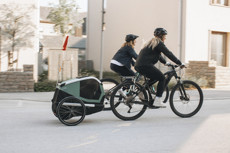 Przyczepka rowerowa dla psa - Thule Bexey L do 45 kg - Haze green