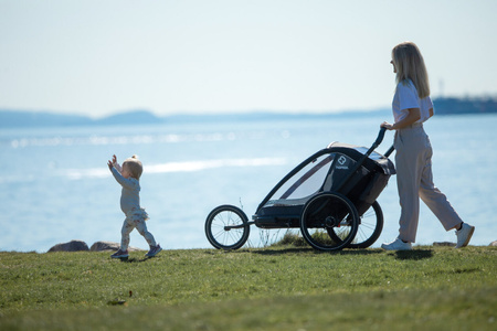 Hamax - Przyczepka rowerowa COCOON ONE- Grey/black