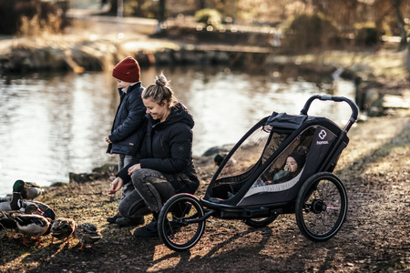 Hamax - Przyczepka rowerowa COCOON, podwójna - Grey/black