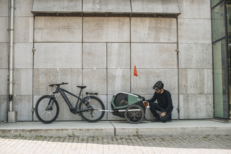 Przyczepka rowerowa dla psa - Thule Bexey M do 35 kg - Haze green