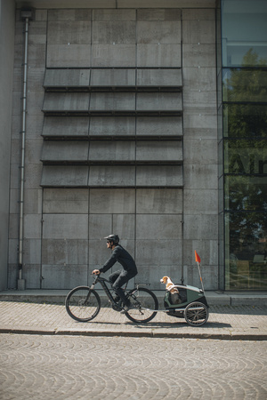 Przyczepka rowerowa dla psa - Thule Bexey M do 35 kg - Haze green