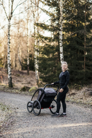 Hamax - Przyczepka rowerowa COCOON, podwójna - Grey/black