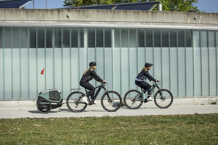 Przyczepka rowerowa dla psa - Thule Bexey M do 35 kg - Haze green