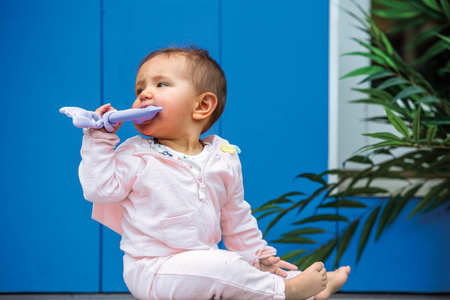 Mary Meyer - Leika Mała Sowa – gryzak