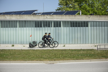 Przyczepka rowerowa dla psa - Thule Bexey L do 45 kg - Haze green