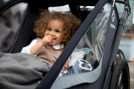 Hamax - Przyczepka rowerowa COCOON, podwójna - Grey/black