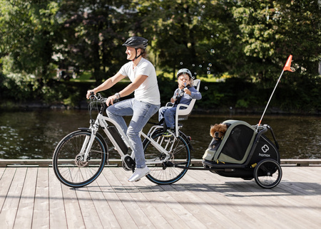 Hamax - Przyczepka rowerowa dla psa - Pluto M do 35 kg - Green / Black