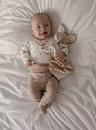 SZUMISIE® - LISEK DOU DOU 5W1 Z LAMPKĄ