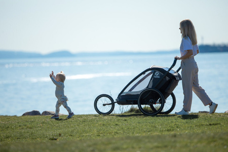 Hamax - Przyczepka rowerowa COCOON ONE- Grey/black