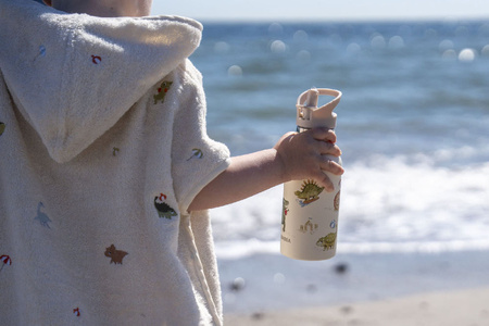 Filibabba Butelka na wodę ze stali nierdzewnej 350 ml Dino Beach