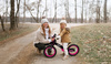 smarTrike - Rowerek 3w1 - Xtend Bike - Pink