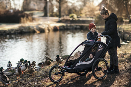 Hamax - Przyczepka rowerowa COCOON, podwójna - Grey/black