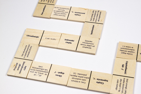 Domino fizyczne Przemiany energii. Ruch drgający