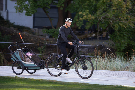 Hamax - Przyczepka rowerowa COCOON ONE - Green/black