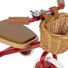 Banwood Rowerek trójkołowy Trike Red