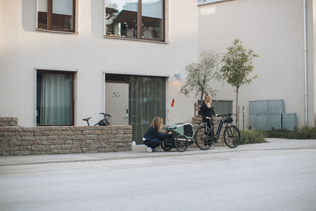 Przyczepka rowerowa dla psa - Thule Bexey M do 35 kg - Haze green