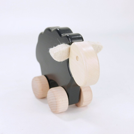 Sheep - owca