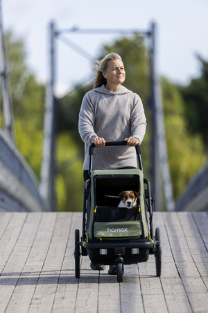 Hamax - Przyczepka rowerowa dla psa - Pluto M do 35 kg - Green / Black