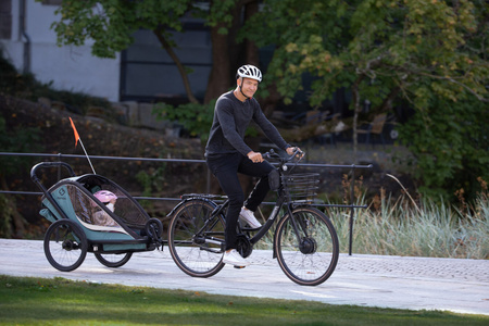 Hamax - Przyczepka rowerowa COCOON, podwójna - Green/black