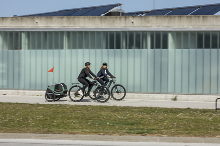 Przyczepka rowerowa dla psa - Thule Bexey L do 45 kg - Haze green