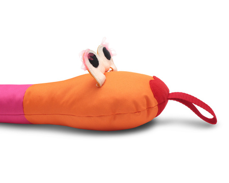 WĄŻ SPACEROWY gąsienica tęczowy AKSON