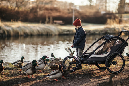 Hamax - Przyczepka rowerowa COCOON ONE- Grey/black