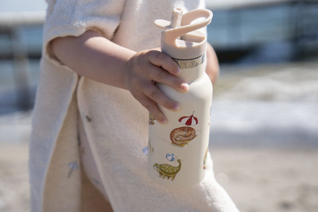 Filibabba Butelka na wodę ze stali nierdzewnej 350 ml Dino Beach